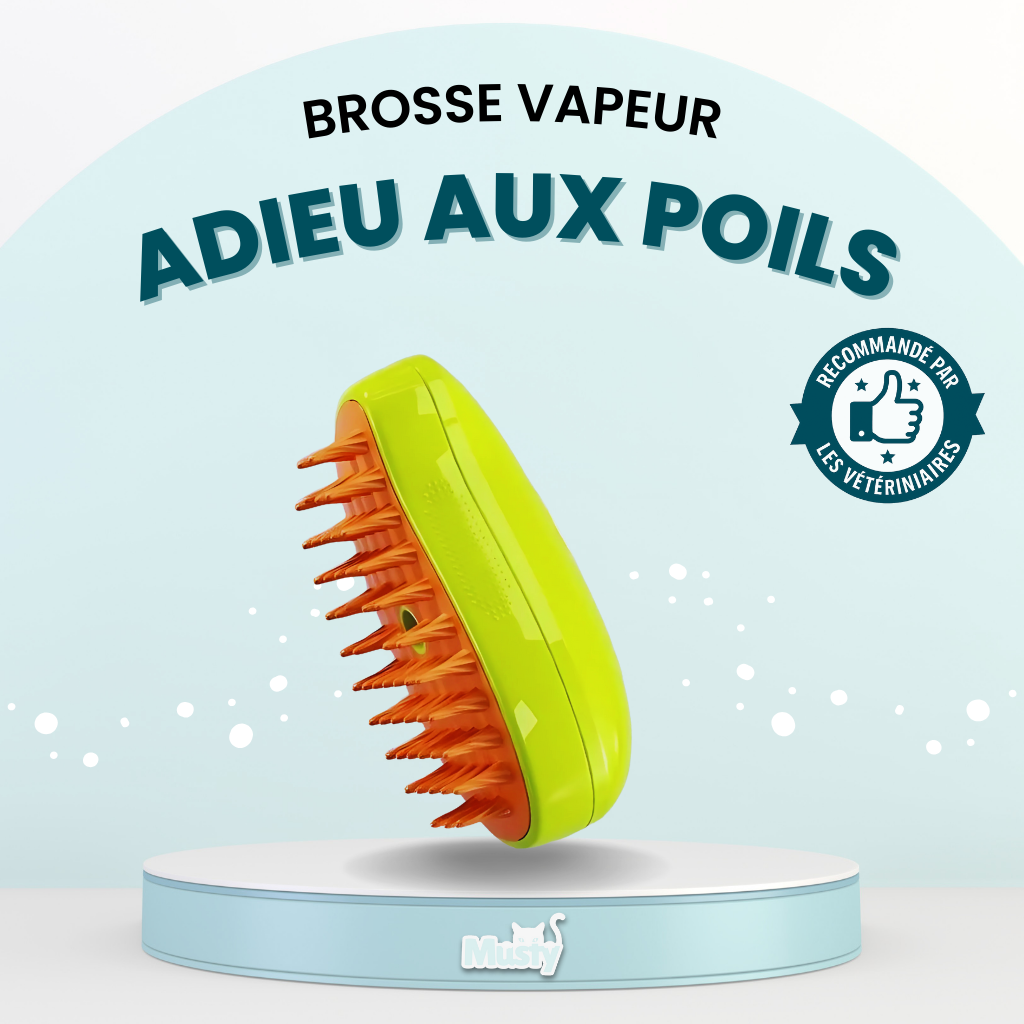 Brosse Vapeur - 3 en 1