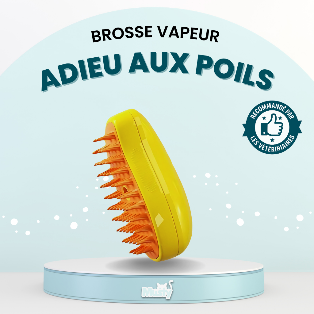 Brosse Vapeur - 3 en 1