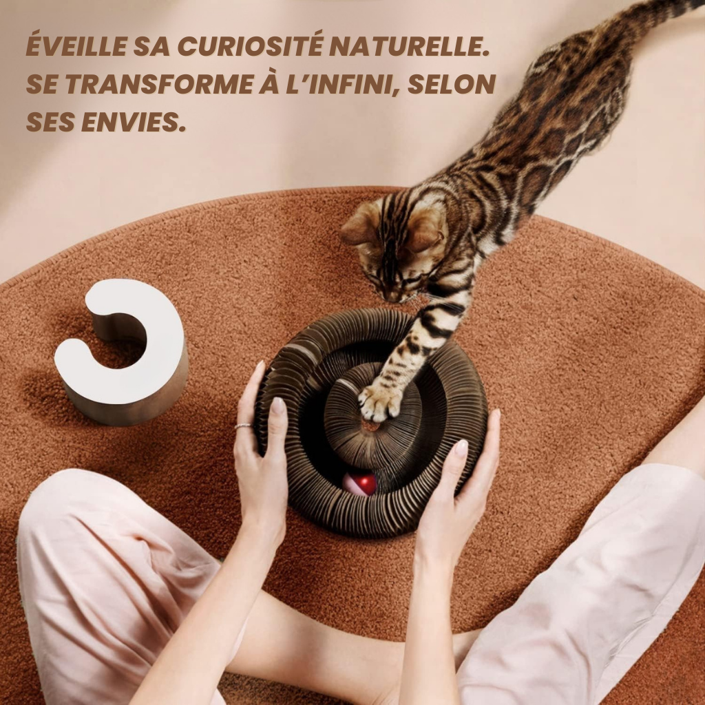 FlexiGriff – Le Module de Jeu Intelligent pour Chats