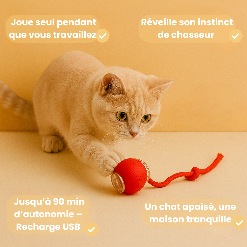 Fury-Ball - Pour des chats heureux, épanouis et actifs
