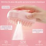 Brosse Vapeur - Dites adieu aux poils